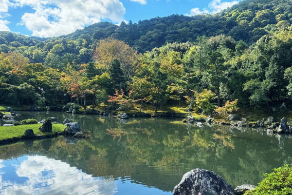 ～京都旅行～2024秋【2日目】