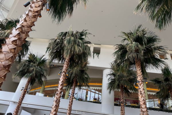 ランチビュッフェ&鎌倉寺巡り