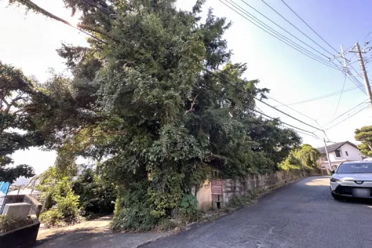 湯河原町吉浜・緑に囲まれた閑静な住宅地に所在 古家付売地 約264坪